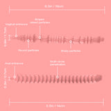 daisy_plus_big_ass_sex_toy_masturbator_sleeve_compatible_tunnel_texture_us