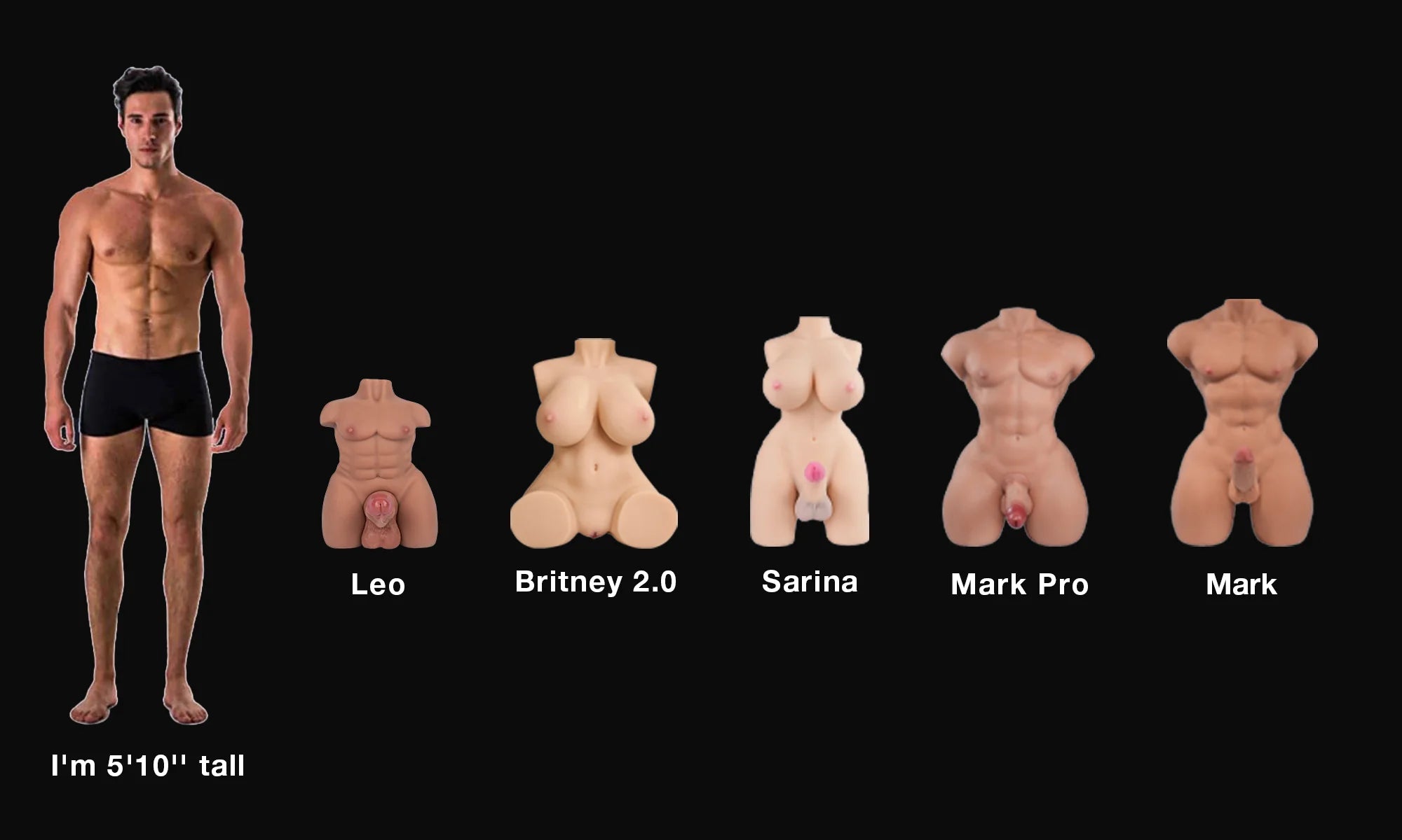 tantaly_sex_doll_torsos_with_penis_size_comparison